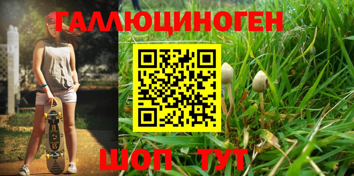 купить наркотик  Галлюциногенные грибы GOLDEN TEACHER  Вход с VPN  Новочебоксарск  Псилоцибиновые грибы Psilocybine cubensis 